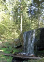 3010509b3ca2255bef1bd2de041b8937-940000964_6-710x1000.webp